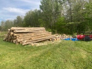 Firewood Pile